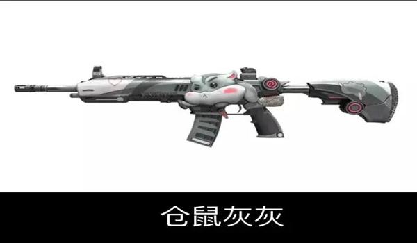 和平精英带皮肤的辅助