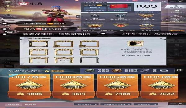 和平精英辅助上战神交流