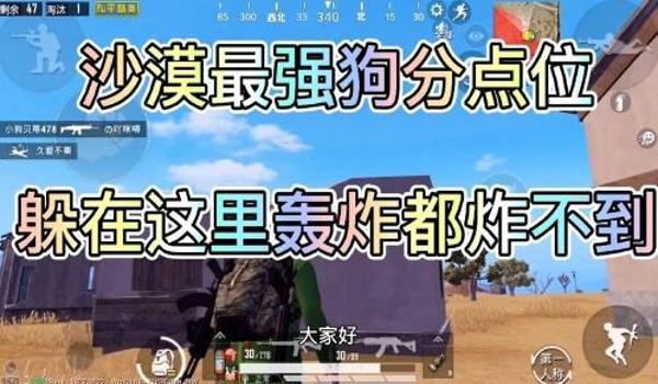 和平精英辅助狗子货源站