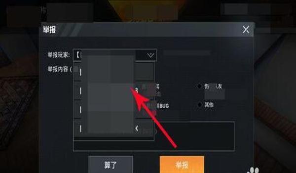 和平精英怎么没有队友辅助