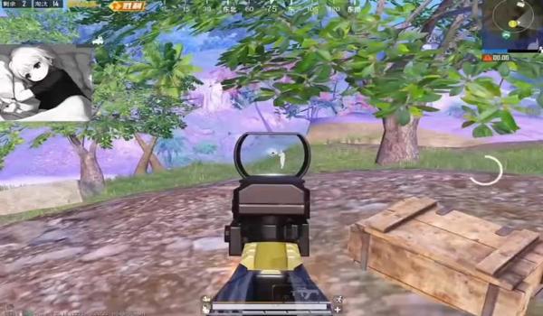 和平精英不能用什么辅助