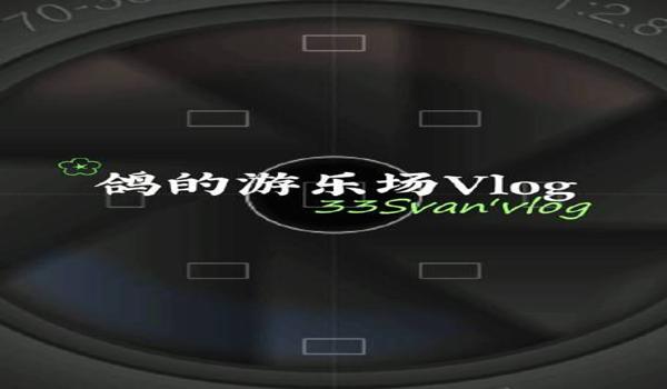 小鸽子辅助和平精英怎么玩