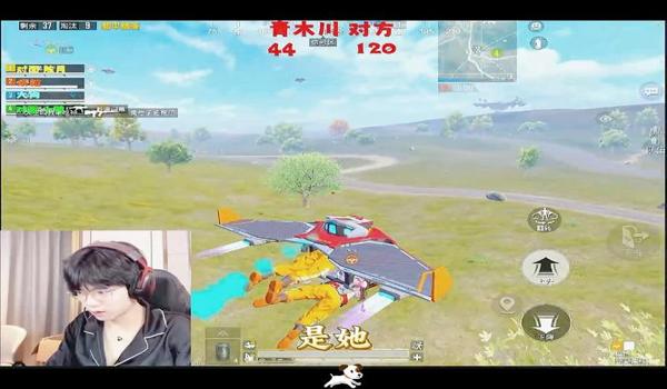 和平精英狗狗辅助怎么开