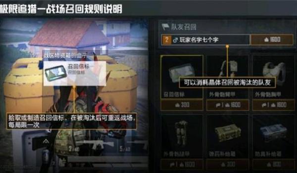 和平精英高端局辅助怎么玩