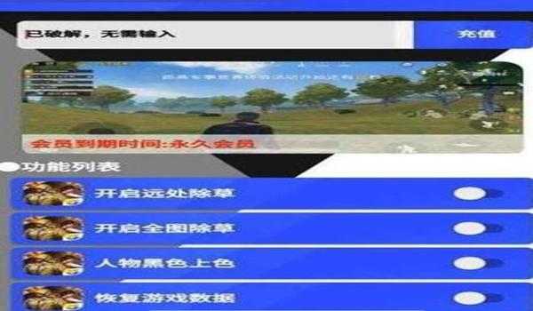 电脑版和平精英除草辅助