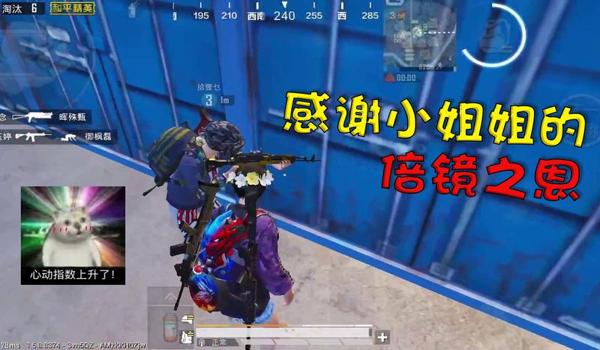 无忧大树vs胖虎和平精英压枪